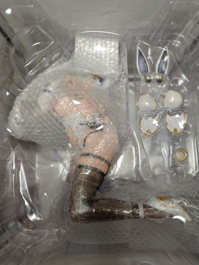 凯瑟琳・怀特 兔女郎