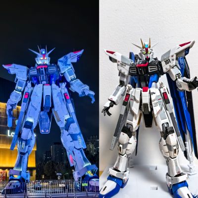 超合金  机动战士高达SEED ZGMF-X10A 自由高达 GCP版