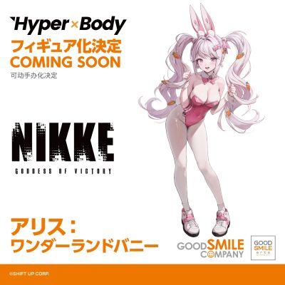 Hyper Body  爱丽丝：仙境兔女郎