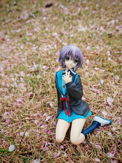 凉宫春日的忧郁 长门有希 School Uniform Ver.