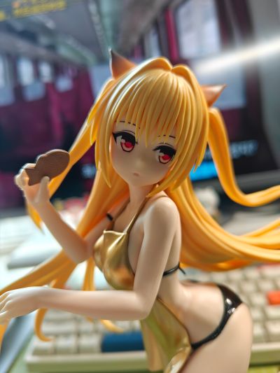 出包王女DARKNESS 独特魅力 金色暗影