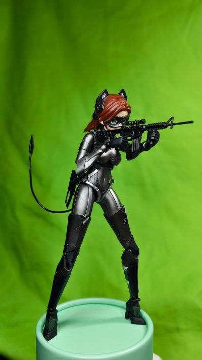 DC 猫女