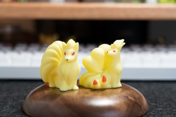 宝可梦Kids 你与宝可梦的邂逅篇