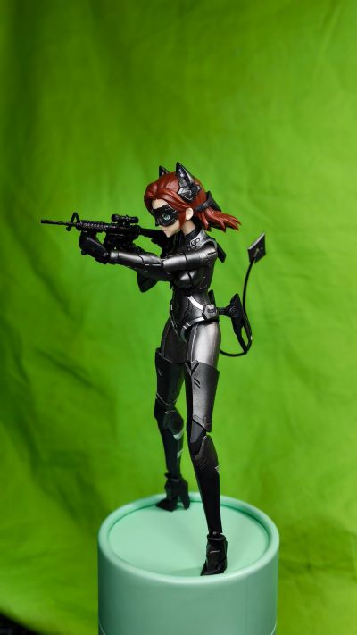 DC 猫女