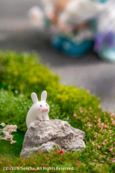 给你的花朵