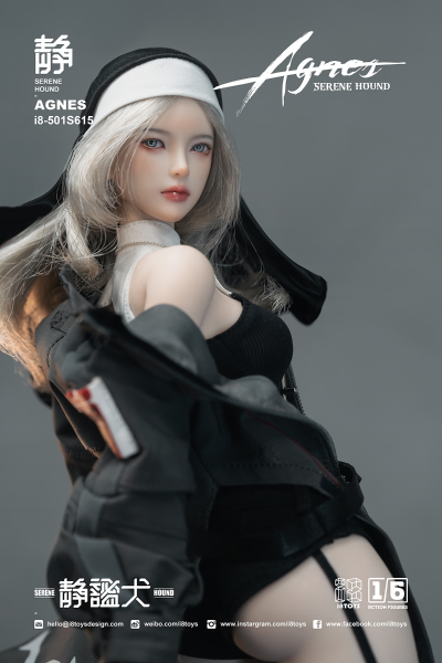 501S615 静谧犬 