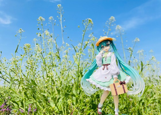 初音未来 时装人偶 乡村时装