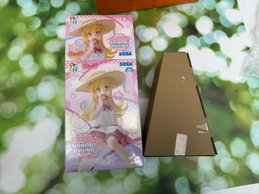 物语系列 小坐系列奖品人偶 “忍野忍”