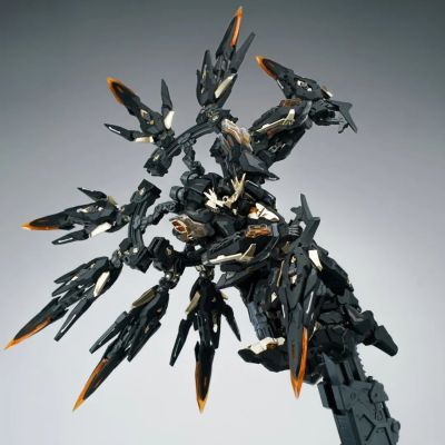天启 黑金版