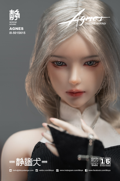 501S615 静谧犬 