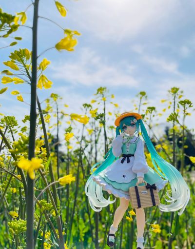 初音未来 时装人偶 乡村时装