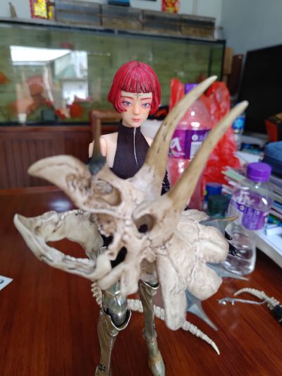 BC 凶猛少女Fierce Girls系列1/6可动人偶王城守卫AAGA-01