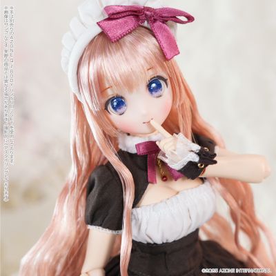 POD051-HVR Colorful Dreamin'/仙境里的叶鸟心音1.1 （红宝石巧克力）