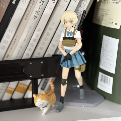 figma#SP168 小军械库 武装JK 变体E