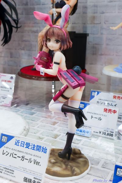 刀剑神域外传 暴风之铳 莲 兔女郎