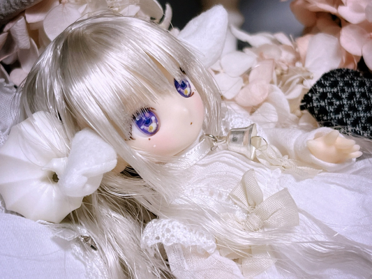 DIA001-MAR DiAS MUGUET×AkaiCamera Remu/～睡觉的小羊羔～ AZONE网上商店限定