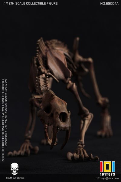 NO.ES004A 掌上精灵系列 剑齿虎骷髅骨架素体 原色版