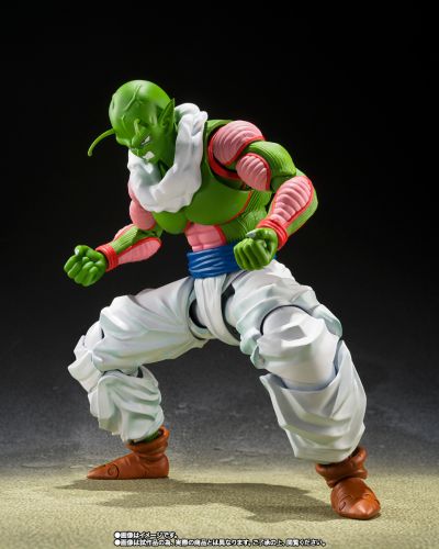 S.H.Figuarts 尼鲁