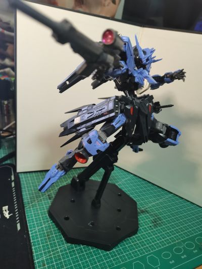 MG 1/100 维达尔高达