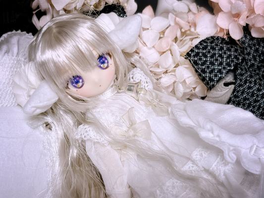 DIA001-MAR DiAS MUGUET×AkaiCamera Remu/～睡觉的小羊羔～ AZONE网上商店限定