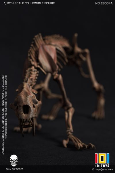 NO.ES004A 掌上精灵系列 剑齿虎骷髅骨架素体 原色版