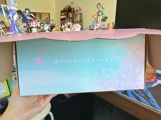 樱花未来 赏花装扮