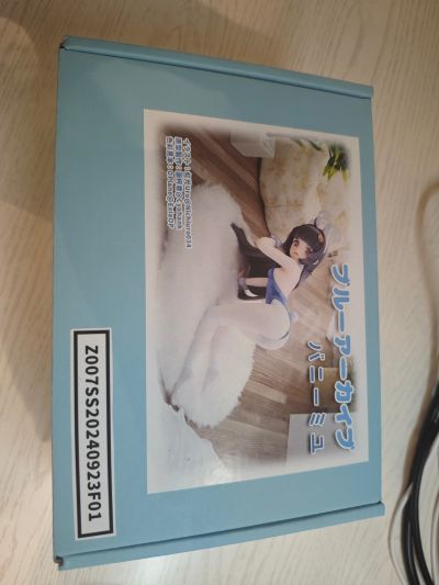 蔚蓝档案 邦尼美游