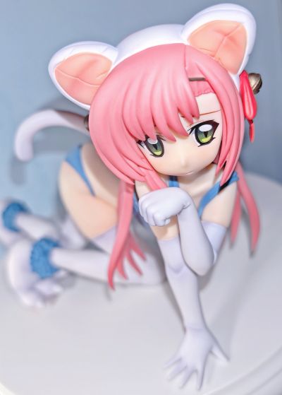 旋风管家！ 桂雏菊 猫ver.