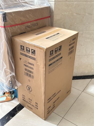 PMSF6-01 街头霸王6 嘉米