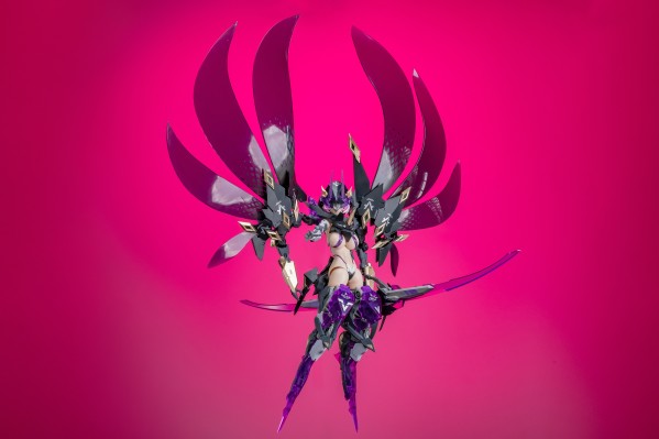 萝莎计划 星花·黑鸢尾