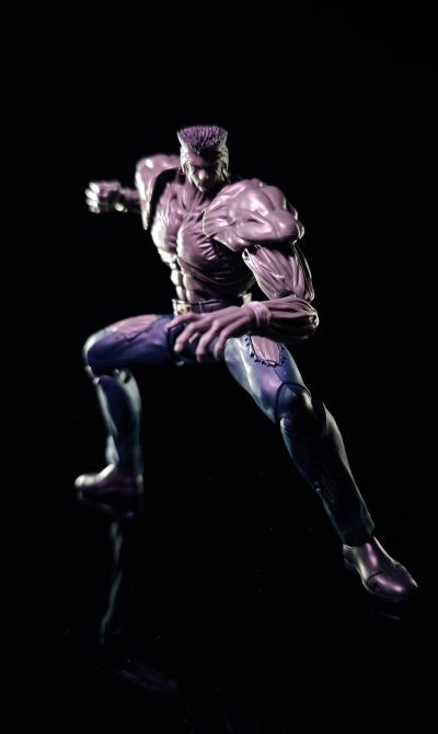 S.H.Figuarts  户愚吕弟100％