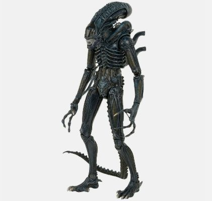 NECA 异形 1/4 比例战士可动人偶（1986 年版）