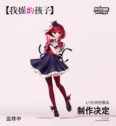 我推的孩子 有马加奈（暂称）