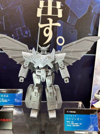 TOYRISE 雷神王