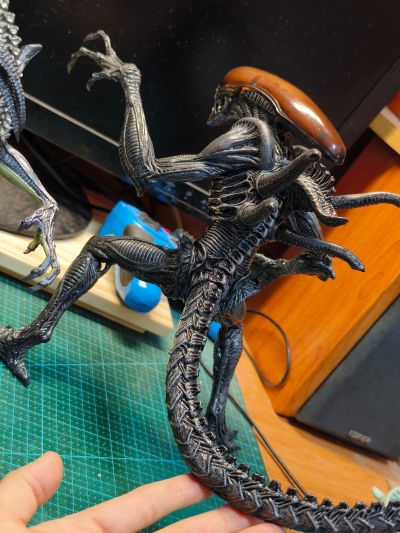SSS系列 异形