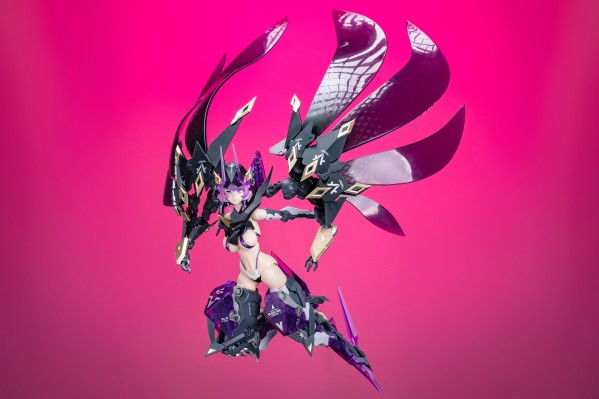 萝莎计划 星花·黑鸢尾