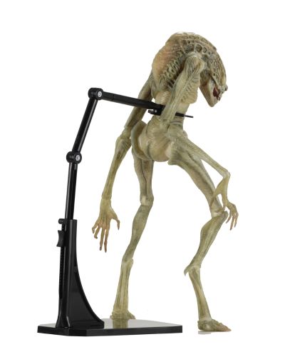 NECA 异形 7 英寸比例可动人偶豪华版 异形4:复活 新生儿（逆种）