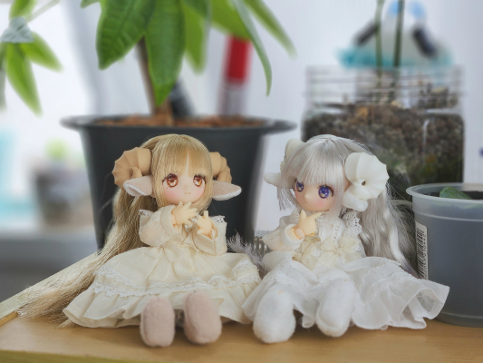 DIA002-MAN DiAS MUGUET×AkaiCamera Nemu/～睡觉的小羊羔～ AZONE网上商店限定
