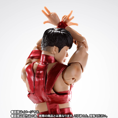 S.H.Figuarts T.M.Revolution   RED HOT LIMITED EDITION