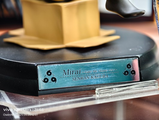 闪乱神乐 未来 ～ひろって下さい。ver.～