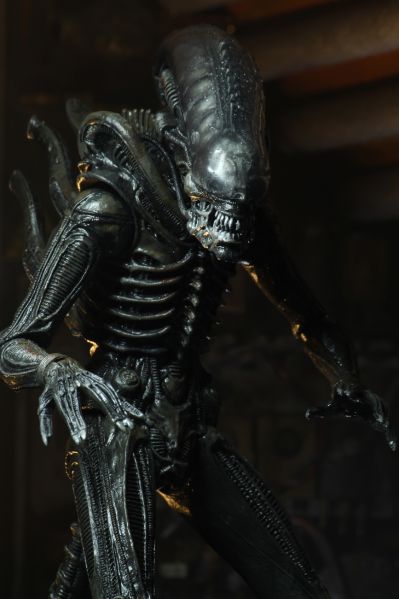 NECA《异形》40周年纪念终极版大型异形（Big Chap）