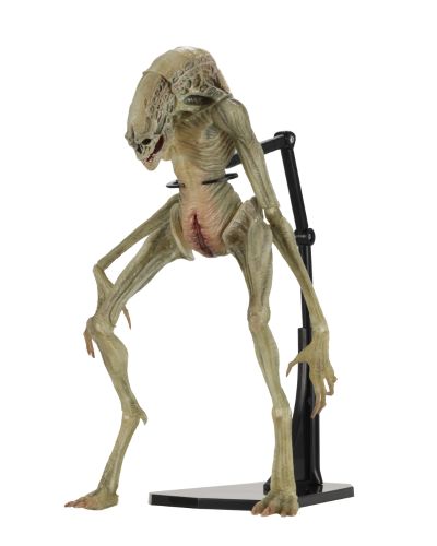 NECA 异形 7 英寸比例可动人偶豪华版 异形4:复活 新生儿（逆种）