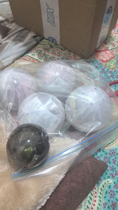 进化生物大图鉴 枯叶螳螂 与 中华剑角蝗 展示架套装