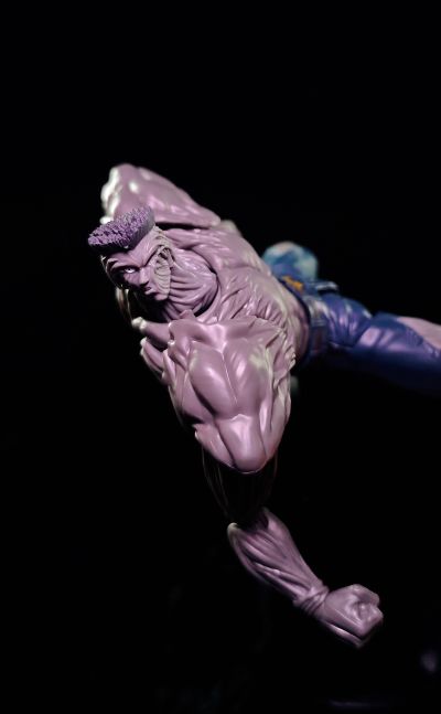 S.H.Figuarts  户愚吕弟100％