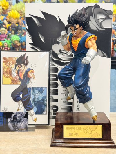 一番赏 龙珠 七龙珠爆裂激战 究极进化 D奖 超级赛亚人之神超级赛亚人贝吉特