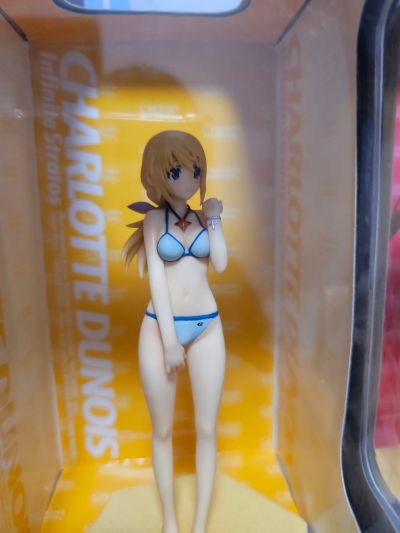 沙滩女王  IS〈无限斯特拉托斯〉 夏洛特・迪诺亚