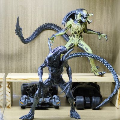 SSS系列 异形