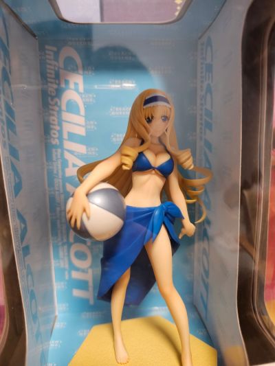 沙滩女王 IS〈无限斯特拉托斯〉 塞西莉娅・奥路科特