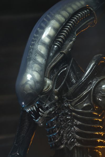 NECA-异形 1/4 比例可动人偶 – 40 周年纪念版 Big Chap