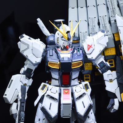 PG UNLEASHED 1/60  ν高达